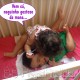 neguinho